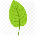 Small Heart Leaf Spring Nature Icon