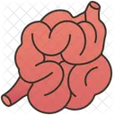 Small  Icon