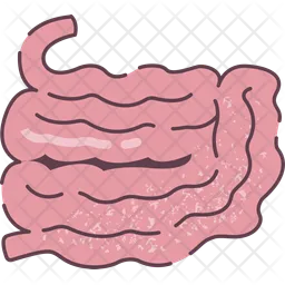 Small intestine  Icon