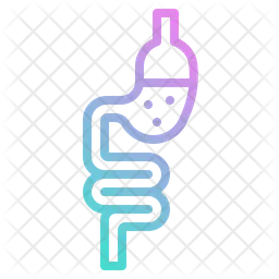 Small Intestine  Icon