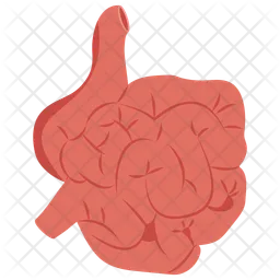 Small intestine  Icon