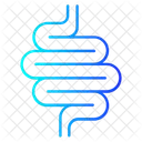 Small Intestine Icon