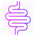 Small Intestine Icon