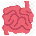 Anatomy Organ Biology Icon