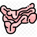 Small Intostine Organ Body Part Icon