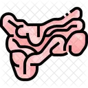 Small Intostine Organ Body Part Icône