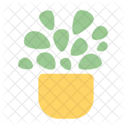 Small leaves decorative house plant  Icon