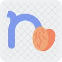 Small N N Typography Icon