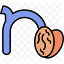 Small N N Typography Icon
