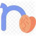 Small N N Typography Icon