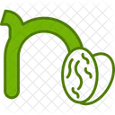 Small N N Typography Icon