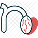 Small N N Typography Icon