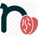 Small N N Typography Icon