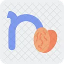Small N N Typography Icon