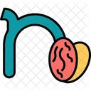 Small N N Typography Icon