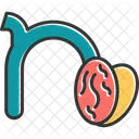 Small N N Typography Icon