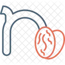 Small N N Typography Icon