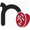 Small N N Typography Icon