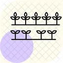 小さな植物が並んでいる アイコン