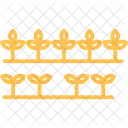 Small Plants In Rows Small Plants Icon