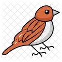 Small Songbirds Urban Birdwatching Melodic Tweets Icon