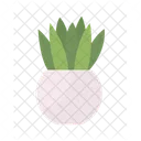 Small tabletop plant  Icon