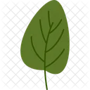 Small Triangle Leaf Spring Nature Icon