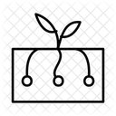 Ai Icon