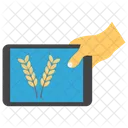 Smart Farming Farming Technology Precision Farming Icon