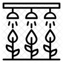 Untitled Icon