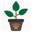 Smart Plant  Icon