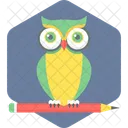 Smart Solution Owl Pencil Icon