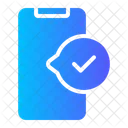 Smartphone Accepted Mobile Phone Icon