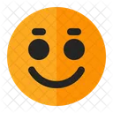 Smile Emoji Emoticon Icon