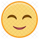 Face Emoticon Emoji Icon