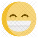 Flat Emoticon Emotion Icon