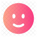 Smile Circle Icon