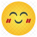 Smile Emoticon  Icon