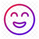 Smile Emoticon Joy Icon