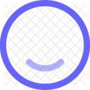 Asset Icon