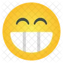 Smile Laugh Emoticon  Icon
