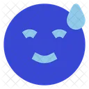 Smile Sweat Icon