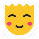 Smiley Expression Emotion Icon