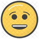 Smiley Face  Icon
