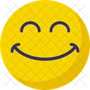 Smiling Laughing Emoticons Icon
