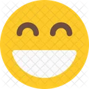 Smiling With Open Icon