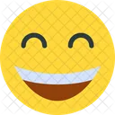 Smiling Man Male Icon