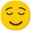 Smiling Face Happy Smiley Emoji Icon
