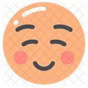 Smiling Face  Icon
