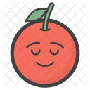 Smiling Orange  Icon